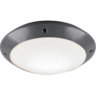 Trion Camiro LED ceiling light bathroom IP54 E27 matte anthracite