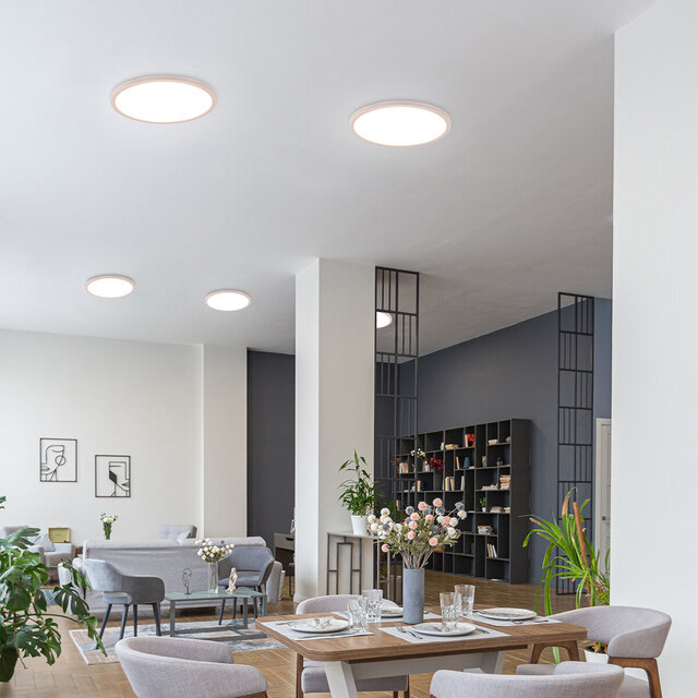 mat-witte ronde LED plafondlamp 30W 3600 lumen RGB dimbaar met instelbare kleurtemperatuur