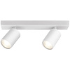 LED ceiling spotlight Brinton Betin 2-light GU10 tiltable