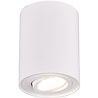 Trion Cosmin LED plafondlamp draaibaar GU10 mat wit Verlichting per ruimte