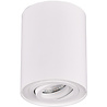 Draaibare mat witte LED plafondlamp met GU10 fitting en maximaal 35W vermogen