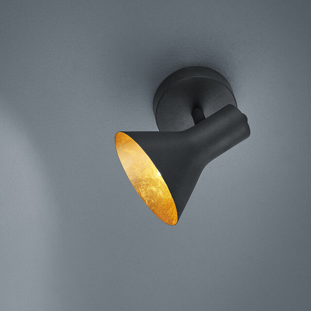 mat zwarte en gouden LED plafondspot met E14 fitting en aluminium behuizing tot 40W vermogen