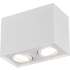Trion Bisqy LED plafondspot 2x GU10 mat wit, verstelbaar Trion Bisqy LED plafondspot 2x GU10 mat wit, verstelbaar