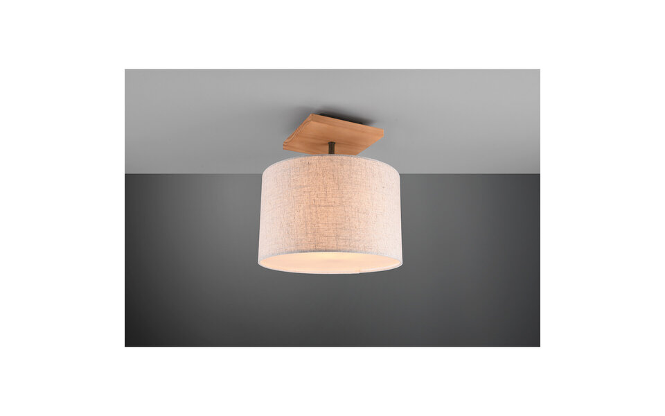 HLW LED LED Plafondlamp - Plafondverlichting - Trion Elmas - E27 Fitting - Rond - Antiek Nikkel - Aluminium HLW LED LED Plafondlamp - Plafondverlichting - Trion Elmas - E27 Fitting - Rond - Antiek Nikkel - Aluminium