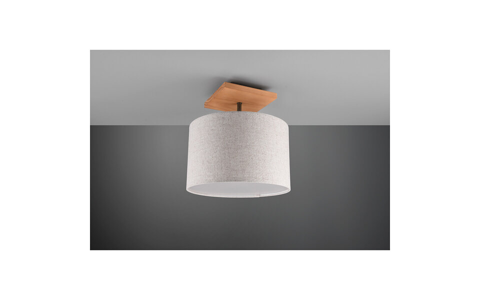 HLW LED LED Plafondlamp - Plafondverlichting - Trion Elmas - E27 Fitting - Rond - Antiek Nikkel - Aluminium HLW LED LED Plafondlamp - Plafondverlichting - Trion Elmas - E27 Fitting - Rond - Antiek Nikkel - Aluminium