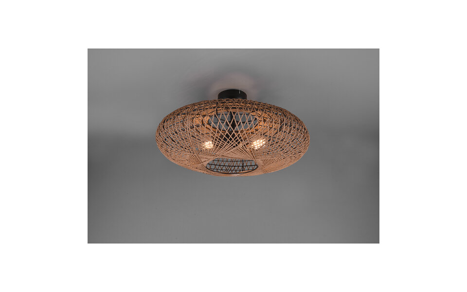 HLW LED LED Plafondlamp - Plafondverlichting - Trion Hetra - E27 Fitting - 2-lichts - Rond - Mat Zwart - Aluminium