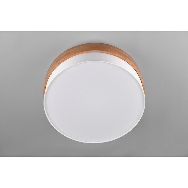 HLW LED LED Plafondlamp - Plafondverlichting - Trion Sella - E14 Fitting - 3-lichts - Rond - Mat Nikkel/Wit - Aluminium HLW LED LED Plafondlamp - Plafondverlichting - Trion Sella - E14 Fitting - 3-lichts - Rond - Mat Nikkel/Wit - Aluminium