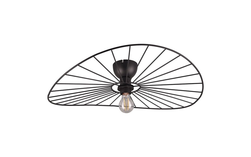 HLW LED LED Ceiling Light - Ceiling Lighting - Trion Aupe - E27 Fitting - 1-light - Round - Matte Black - Metal