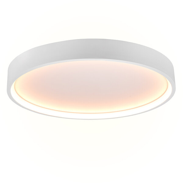 HLW LED LED Plafondlamp - Plafondverlichting - Trion Dile - 29W - Aanpasbare Lichtkleur - Rond - Mat Wit - Metaal
