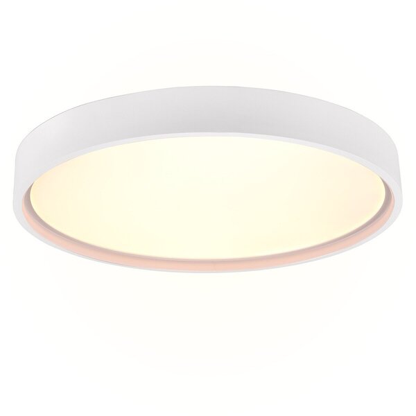 HLW LED LED Plafondlamp - Plafondverlichting - Trion Dile - 29W - Aanpasbare Lichtkleur - Rond - Mat Wit - Metaal