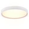 HLW LED LED Ceiling Light - Ceiling Lighting - Trion Dile - 29W - Adjustable Light Color - Round - Matte White - Metal HLW LED LED Ceiling Light - Ceiling Lighting - Trion Dile - 29W - Adjustable Light Color - Round - Matte White - Metal