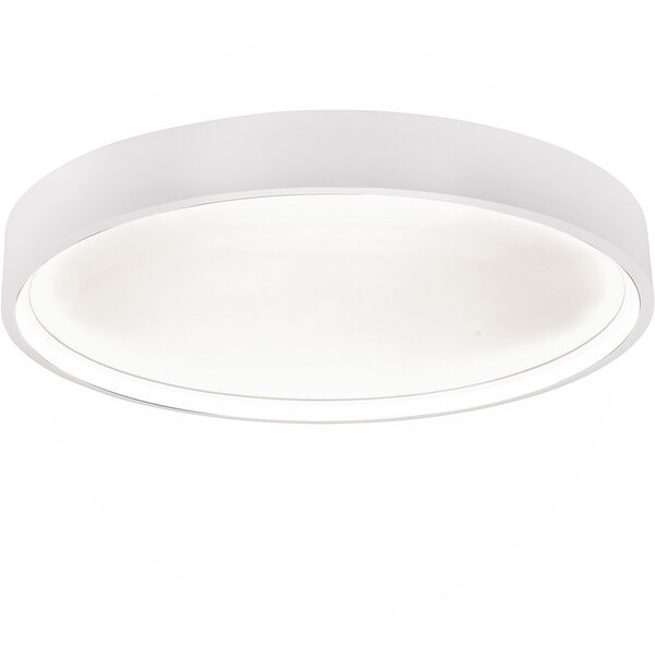 HLW LED LED Plafondlamp - Plafondverlichting - Trion Dile - 29W - Aanpasbare Lichtkleur - Rond - Mat Wit - Metaal