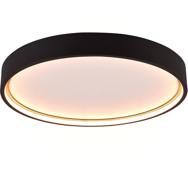 HLW LED LED Plafondlamp - Plafondverlichting - Trion Dile - 29W - Aanpasbare Lichtkleur - Rond - Mat Zwart - Metaal