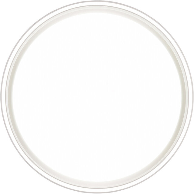 ronde mat witte dimbare LED plafondlamp 24W met 2500 lumen en instelbare kleurtemperatuur