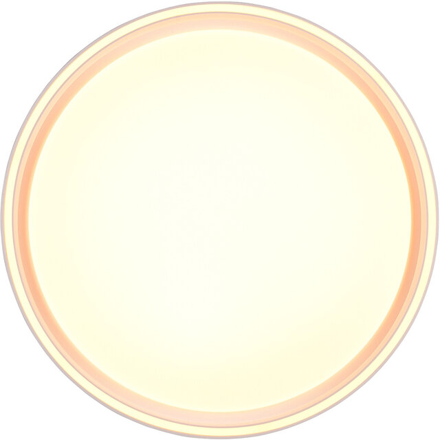 HLW LED LED Plafondlamp - Plafondverlichting - Trion Lesi - 24W - Dimbaar - Aanpasbare Kleur - Afstandsbediening - Rond - Mat Wit - Kunststof