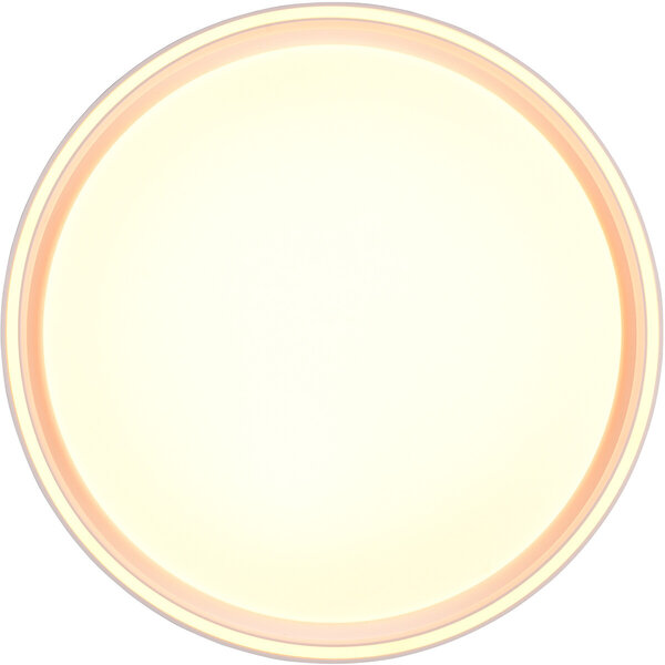 HLW LED LED Plafondlamp - Plafondverlichting - Trion Lesi - 24W - Dimbaar - Aanpasbare Kleur - Afstandsbediening - Rond - Mat Wit - Kunststof