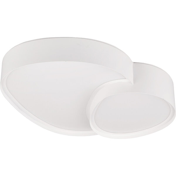 HLW LED LED Plafondlamp - Trion Shine - 21W - Aanpasbare Kleur - Dimbaar - Afstandsbediening - Mat Wit - Metaal