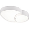 ronde mat witte dimbare LED plafondlamp 21W met 2400 lumen en aanpasbare kleurtemperatuur