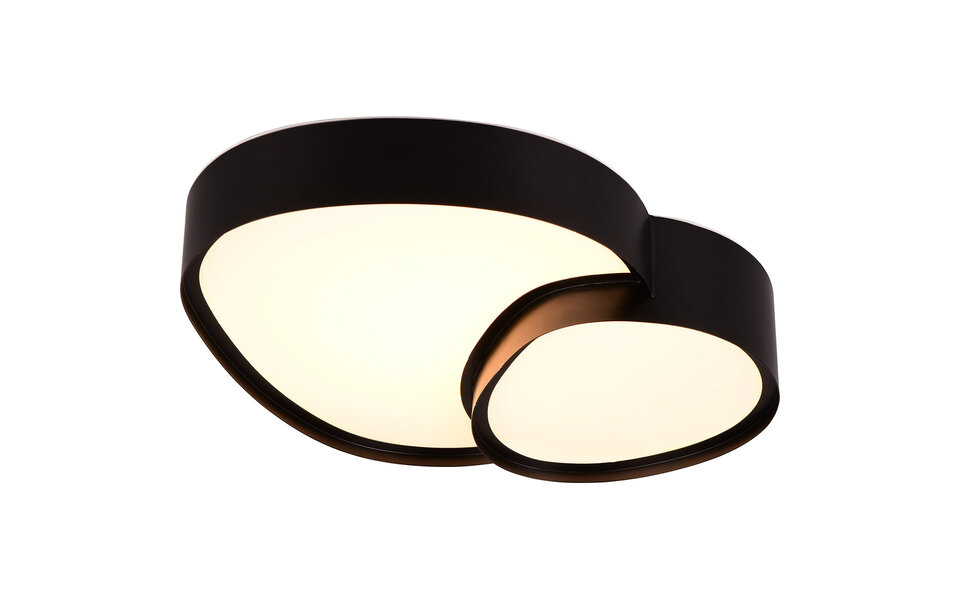 HLW LED LED Plafondlamp - Trion Shine - 21W - Aanpasbare Kleur - Dimbaar - Afstandsbediening - Mat Zwart - Metaal