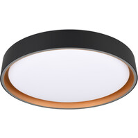 Trion Felix LED plafondlamp 24W zwart-goud dimbaar
