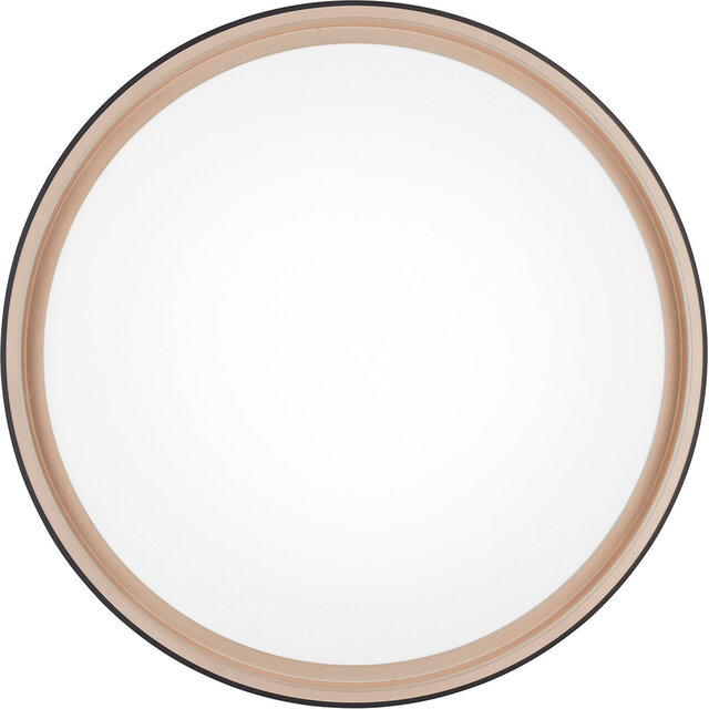 rond zwarte en gouden dimbare LED plafondlamp 24W met instelbare kleurtemperatuur