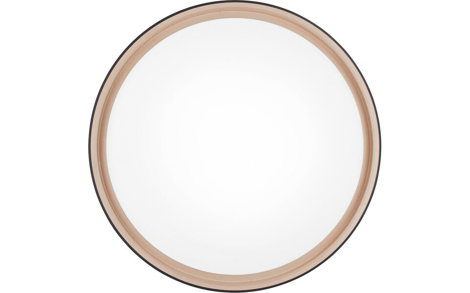 HLW LED LED Plafondlamp - Trion Felix - 24W - Aanpasbare Kleur - Dimbaar - Afstandsbediening - Rond - Zwart Goud - Kunststof