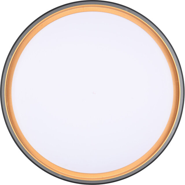 HLW LED LED Plafondlamp - Trion Felix - 24W - Aanpasbare Kleur - Dimbaar - Afstandsbediening - Rond - Zwart Goud - Kunststof