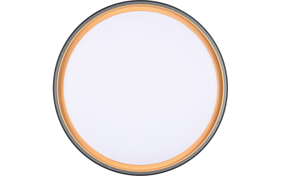 HLW LED LED Ceiling Lamp - Trion Felix - 24W - Adjustable Color - Dimmable - Remote Control - Round - Black Gold - Plastic