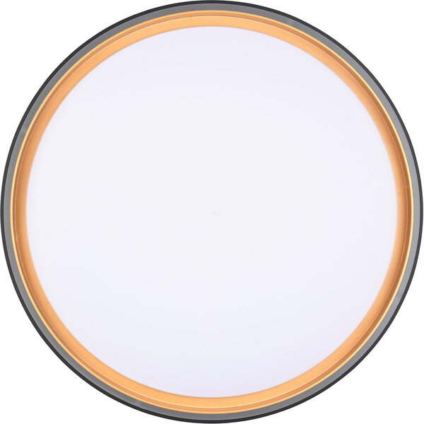 HLW LED LED Plafondlamp - Trion Felix - 24W - Aanpasbare Kleur - Dimbaar - Afstandsbediening - Rond - Zwart Goud - Kunststof HLW LED LED Plafondlamp - Trion Felix - 24W - Aanpasbare Kleur - Dimbaar - Afstandsbediening - Rond - Zwart Goud - Kunststof