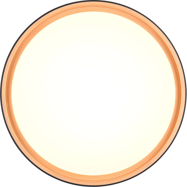HLW LED LED Ceiling Lamp - Trion Felix - 24W - Adjustable Color - Dimmable - Remote Control - Round - Black Gold - Plastic
