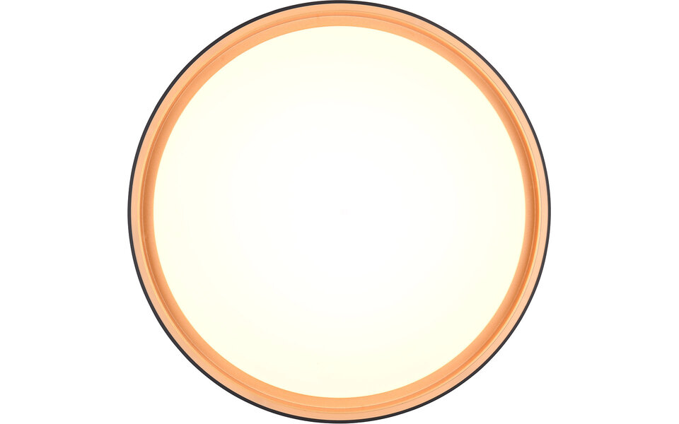 HLW LED LED Ceiling Lamp - Trion Felix - 24W - Adjustable Color - Dimmable - Remote Control - Round - Black Gold - Plastic