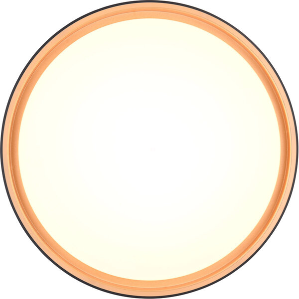 HLW LED LED Plafondlamp - Trion Felix - 24W - Aanpasbare Kleur - Dimbaar - Afstandsbediening - Rond - Zwart Goud - Kunststof HLW LED LED Plafondlamp - Trion Felix - 24W - Aanpasbare Kleur - Dimbaar - Afstandsbediening - Rond - Zwart Goud - Kunststof