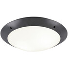 HLW LED LED Ceiling Light - Bathroom Light - Trion Camiro - Surface Mounted Round - Waterproof IP54 - E27 Fitting - 2-light - Matte Anthracite - Plastic