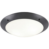 Trion Camiro LED ceiling lamp bathroom IP54 2x E27 anthracite Trion Camiro LED ceiling lamp bathroom IP54 2x E27 anthracite