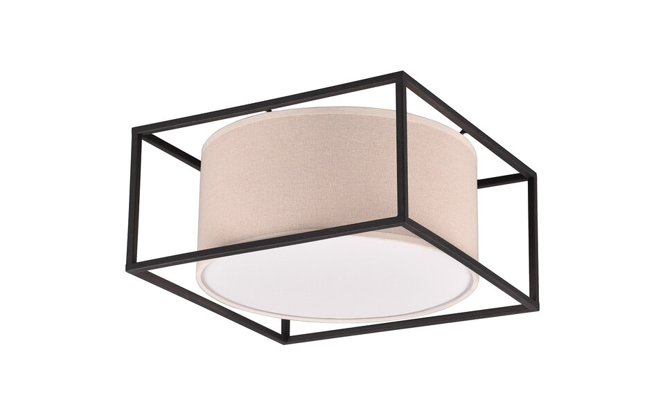 HLW LED LED Ceiling Light - Ceiling Lighting - Trion Rocky - E27 Fitting - 2 Lights - Industrial - Matte Black - Metal