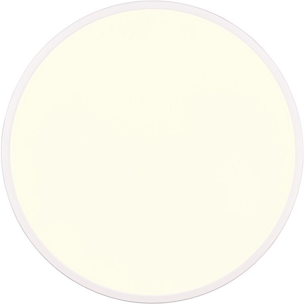 HLW LED LED Plafondlamp - Trion Skiff - 30W - Aanpasbare Kleur - Dimbaar - Afstandsbediening - Rond - Mat Wit - Kunststof HLW LED LED Plafondlamp - Trion Skiff - 30W - Aanpasbare Kleur - Dimbaar - Afstandsbediening - Rond - Mat Wit - Kunststof