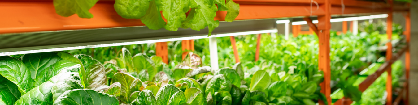 LED fluorescent lighting: the complete guide to switching LED fluorescent lighting: the complete guide to switching