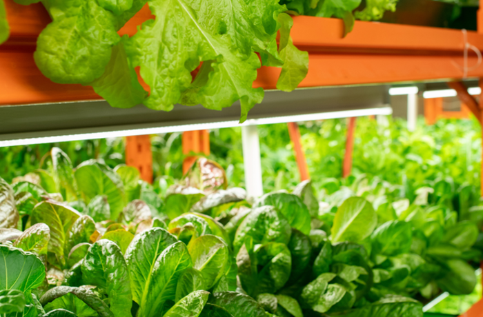 LED fluorescent lighting: the complete guide to switching