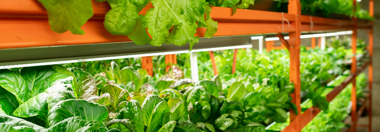 LED fluorescent lighting: the complete guide to switching LED fluorescent lighting: the complete guide to switching