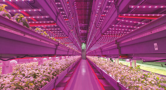 LED lighting to combat food scarcity