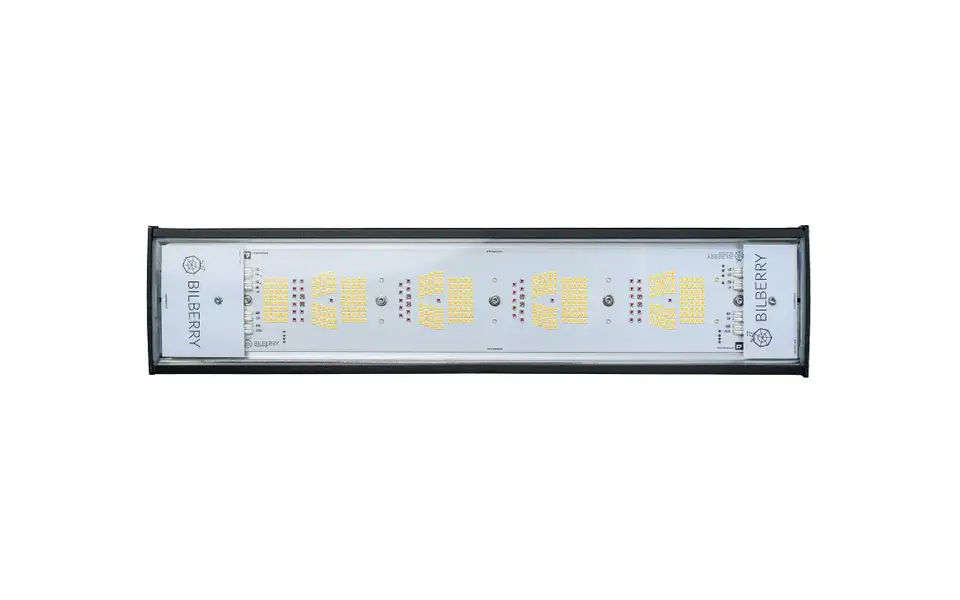 Bilberry Biberry Grow Mini 160W Bilberry Biberry Grow Mini 160W