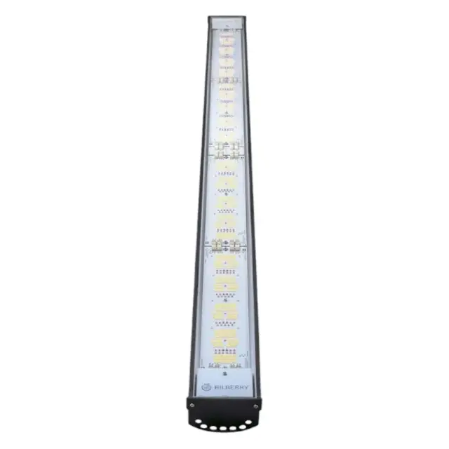 Bilberry High Power 650W LED kweeklampen