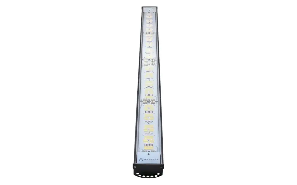 Bilberry Bilberry Grow High Power 650W