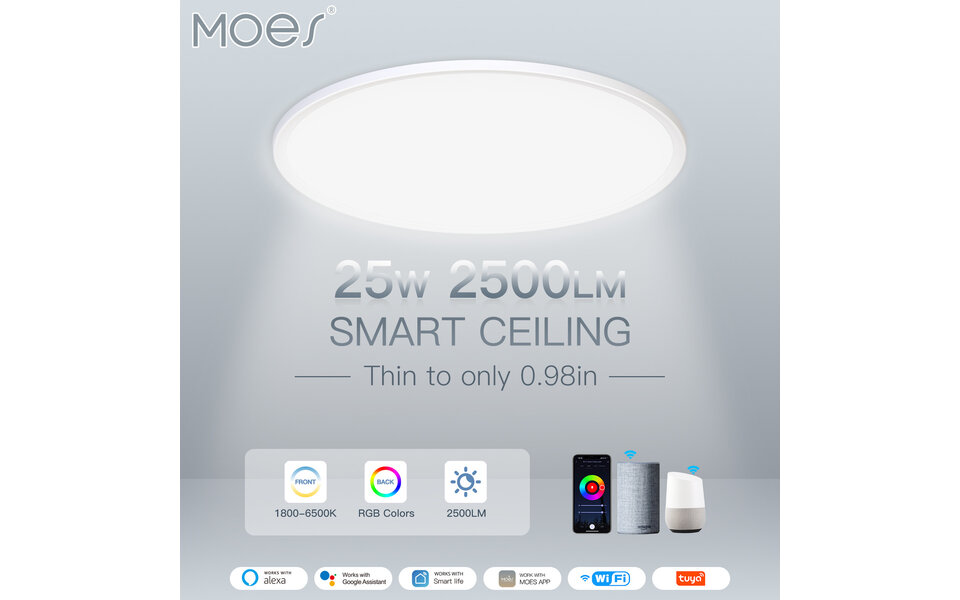 Smartlife Domotica Smart Plafond verlichting 25w 1800K-6500K RGB