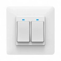 Inbouw schakelmateriaal | 2-knoppen |inclusief controle verlichting | Geschikt om uw bestaande schakelaars slim te maken | Bedienbaar met app