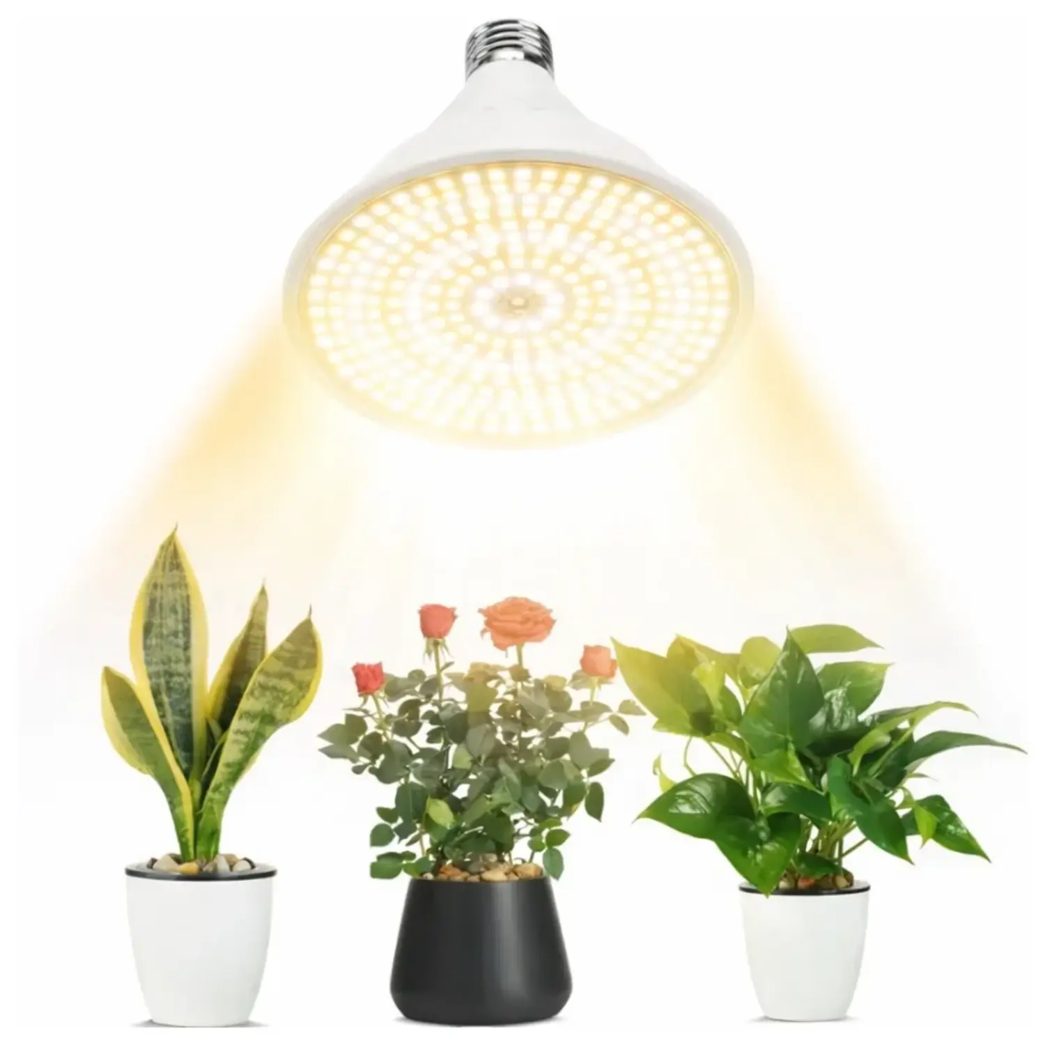 E27 Groeilamp Voor Planten 8W 3200K - LED Plantenlicht Voor Binnenshuis En  Kas