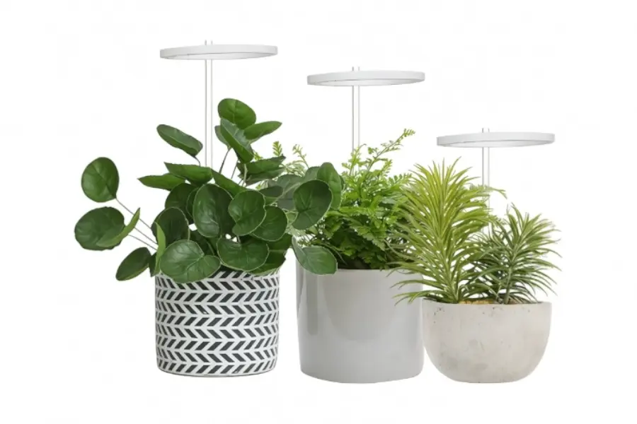ZOCIKO Plant Lamp, 160 LEDs, Grow Lamp, Full Spectrum ZOCIKO Plant Lamp, 160 LEDs, Grow Lamp, Full Spectrum