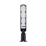 HLW LED ROCKET LED street light | 30W | 6400K | IP65