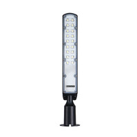HLW LED ROCKET LED street light | 50W | 6400K | IP65