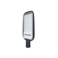 HLW LED TEXAS LED straatlamp | 100W | 6400K | IP65